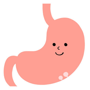 自覚症状のない良性のポリープがある胃のイラスト