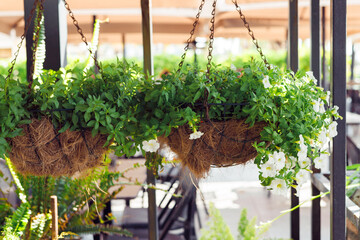 Colorful flower baskets filled with red and pink blooms hang in a lively outdoor dining space