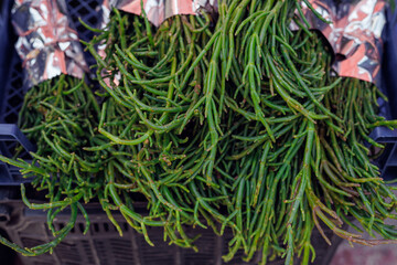 Freshly harvested samphire displayed at a local market in the early morning light