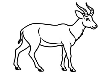Stylized Markhor Sketch