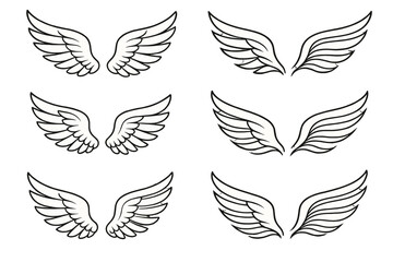 Wings illustrations showcasing different designs and styles on a clean background