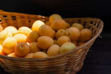 Fresh apricots gathered in a rustic basket with warm sunlight illuminating the golden fruit