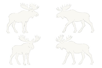 Outline sketches of moose showing various poses from different angles in a simple and clear style