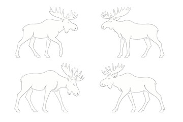 Multiple views of moose illustrations showcasing different poses and orientations in a creative design