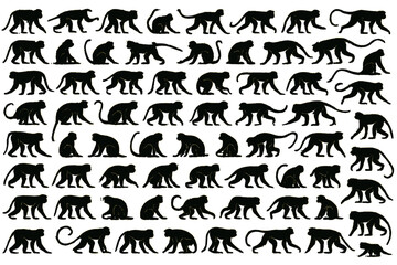 Diverse silhouettes of monkeys in various poses arranged in a grid pattern for educational purposes