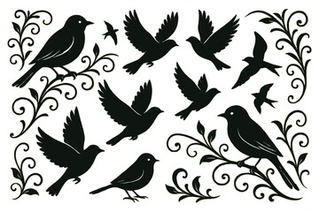 Elegant silhouette design featuring various birds and decorative elements on a white background