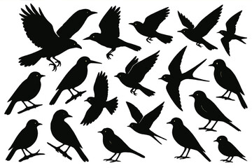 Obraz premium Various silhouettes of birds in different poses and sizes on a white background arranged artistically