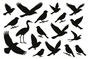 Obraz premium Silhouettes of various bird species in flight and perched on branches against a white background