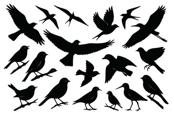 Various bird silhouettes in different poses set against a plain white background, showcasing the diversity of avian shapes