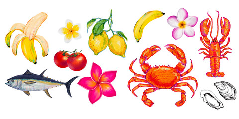 set of summer Tropical crab fish Fresh fruits, lemon, banana, lobster, flower hand drawn decoration on transparent background.