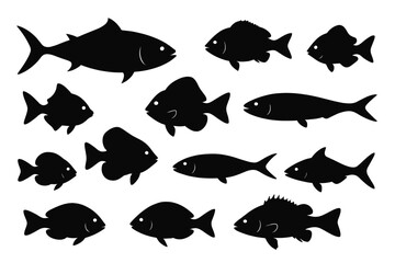 Various fish silhouettes illustrating different sizes and species in a simple black and white design