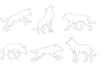 Fototapeta premium Wolf illustrations showcasing various postures and movements in a natural setting