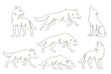 Sketches of wolves showcasing various poses and movements in a natural setting depicting their agility and grace