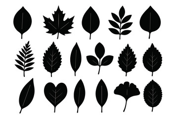 Various black silhouettes of leaves showcasing different shapes and styles for artistic and design purposes
