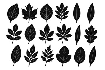 Various leaf silhouettes showcasing diverse shapes and sizes in a minimalist design for botanical illustration