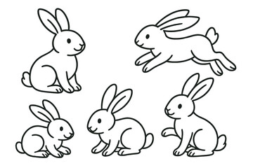Various playful rabbits in different poses during a sunny day in a grassy field