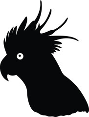 punk cockatoo portrait silhouette