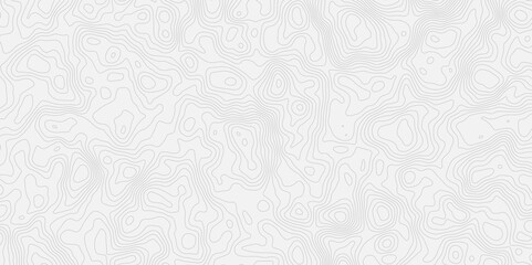 topographic white and grey light wave line topo map contour modern design white background. Wavy topography geography design map, texture, line, adventure, mountain,  vector illustration.