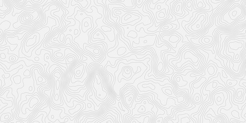 topographic white and grey light wave line topo map contour modern design white background. Wavy topography geography design map, texture, line, adventure, mountain,  vector illustration.