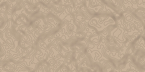 contour topographic wave nature curve geography outline technology map shape terrain  background.  