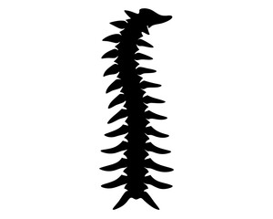 Spine Vector Illustration | Spine Silhouette SVG Design for Medical, Anatomy, Chiropractic, and Craft Projects