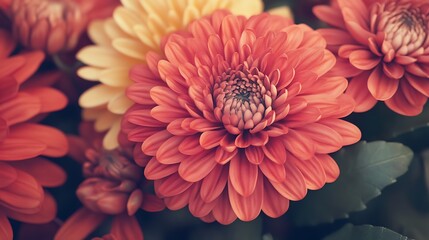 Stunning Close-Up of Natural Realistic Flowers in Floral Style