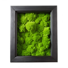 Framed green moss wall decor interior design for home office on transparent background