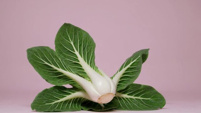 Fresh bok choy timelapse: leafy green growth on pastel background