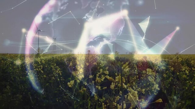 Digital globe floating above yellow crop field with wind turbines and connecting network lines