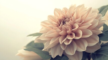 Obraz premium Stunning Close-Up of a Full Bloom Flower with Soft Focus