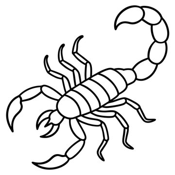 black and white scorpion outline clip art preview