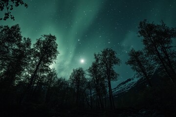Fototapeta premium Breathtaking aurora borealis illuminates moonlit forest treeline in Heidmor, Aurora borealis over moonlit forest treeline, Heidmork Iceland Mov