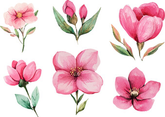 collage of pink flowers
