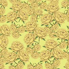 Beautiful seamless floral pattern with hand drawn watercolor gentle wild field flowers cornflower poppy. Stock illuistration