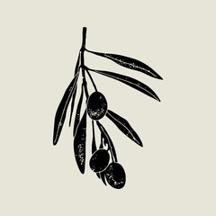 Olive branch linocut vector illustration with grunge texture. Monochrome linear woodcut illustration.	