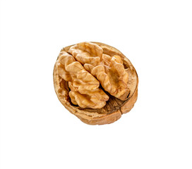 Walnut isolated. Walnuts kernel