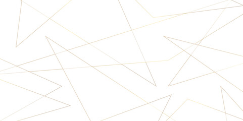 Lines abstract sports background or texture on outdoor sports field. business and network connected tech backdrop, Abstract architectural background with geometric lines pattern. vector illustration. 