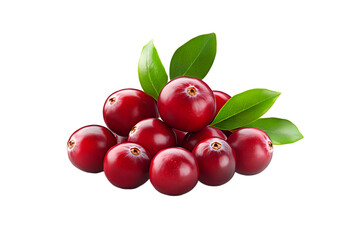 Obraz premium Fresh Cranberries with Green Leaves Closeup Shot
