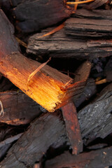 Close-up of firewood and charcoal pieces

