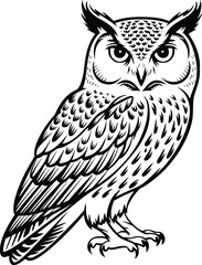 Bold Black And White Detailed Owl. Vector Illustration Isolated On White