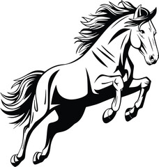 Bold Black And White Jumping Horse. Vector Illustration Isolated On White