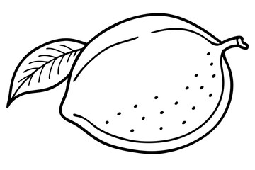 Fruit Line Art Vector Illustration – Minimalist Clipart, Logo Icon Design on White Background