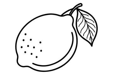 Fruit Line Art Vector Illustration – Minimalist Clipart, Logo Icon Design on White Background