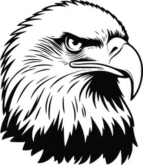 Obraz premium Bold Black And White Detailed Eagle Head. Vector Illustration Isolated On White