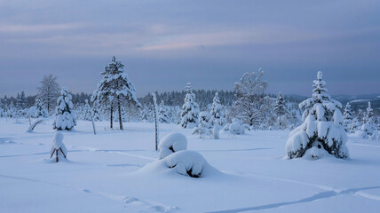 snow muffling the sound