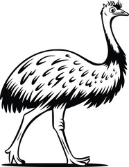 Obraz premium Bold Black And White Emu Walking. Vector Illustration Isolated On White