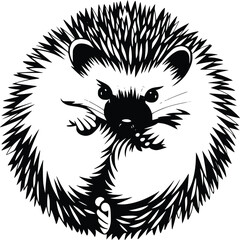 Bold Black And White Hedgehog Curled Up. Vector Illustration Isolated On White