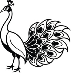 beautiful peacock silhouette 