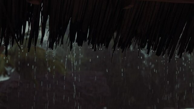 Tropical rainstorm with palm trees in a forest, monsoon season