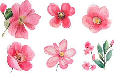 collage of flowers